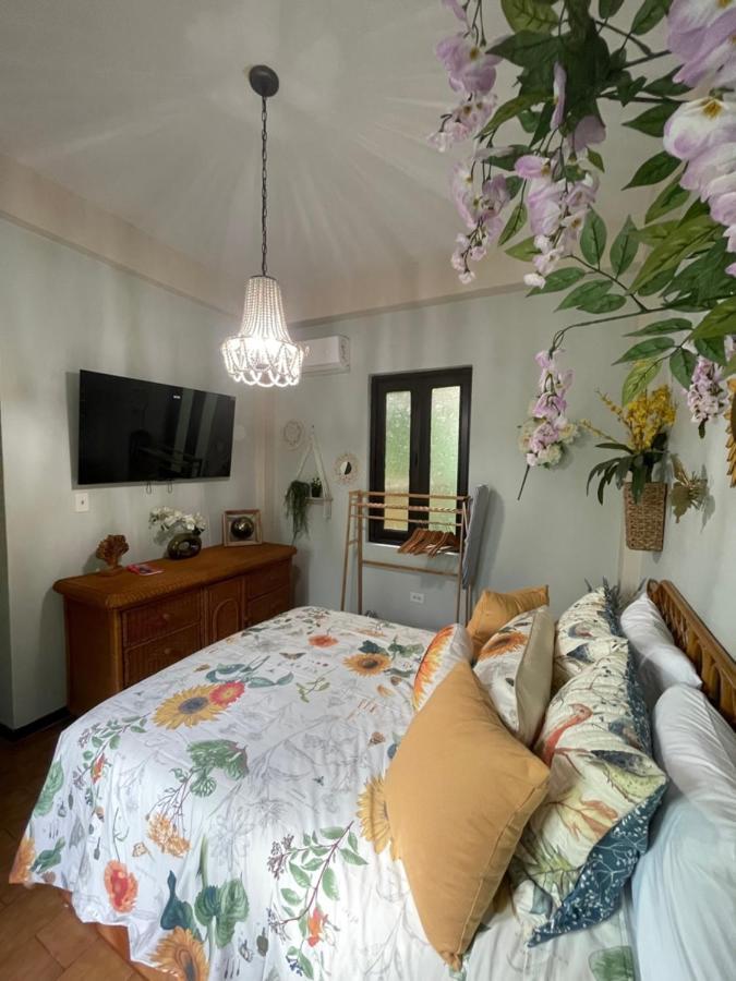 The Garden Apartment, The Willow Apartment, & The Tropical Apartment At Casa Of Essence In Old San Juan Luaran gambar
