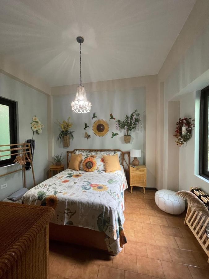 The Garden Apartment, The Willow Apartment, & The Tropical Apartment At Casa Of Essence In Old San Juan Luaran gambar