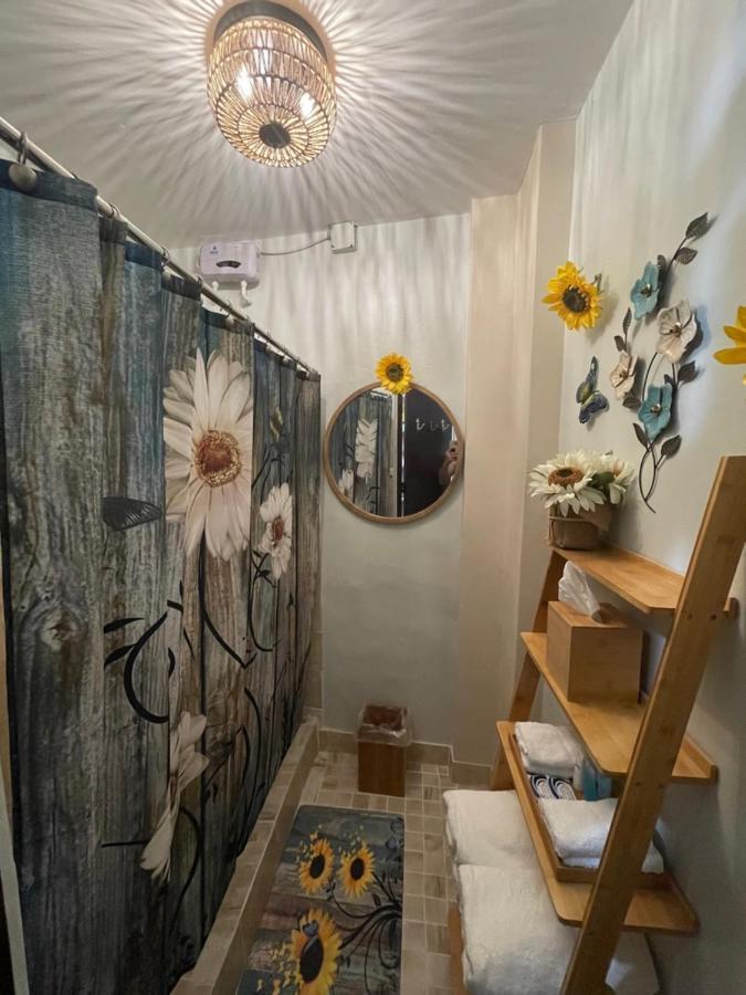 The Garden Apartment, The Willow Apartment, & The Tropical Apartment At Casa Of Essence In Old San Juan Luaran gambar