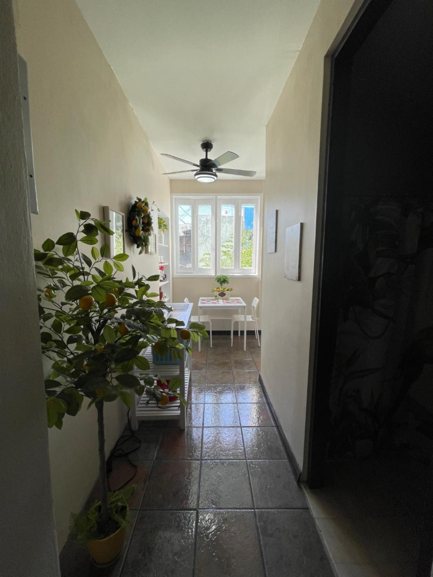 The Garden Apartment, The Willow Apartment, & The Tropical Apartment At Casa Of Essence In Old San Juan Luaran gambar