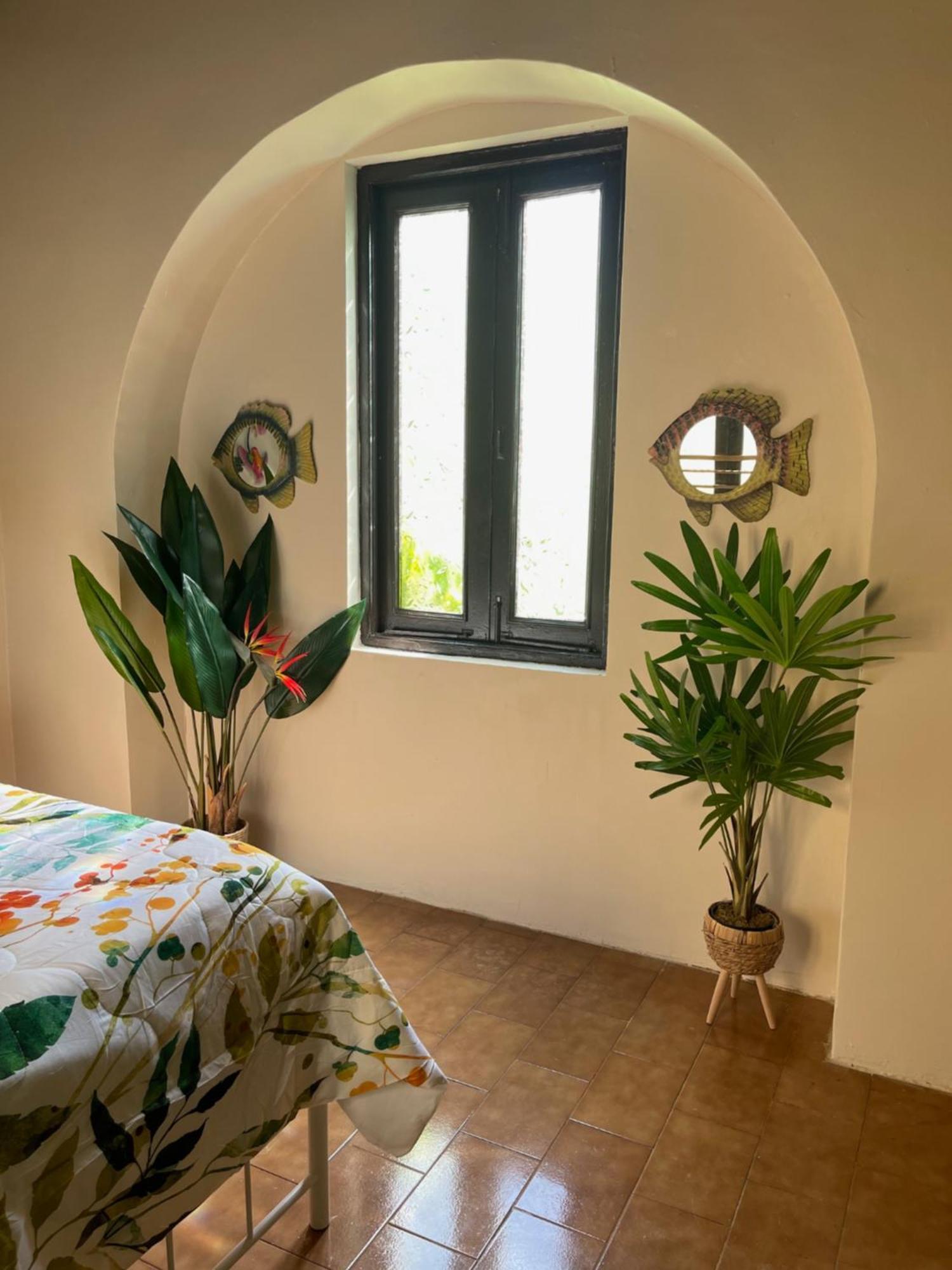 The Garden Apartment, The Willow Apartment, & The Tropical Apartment At Casa Of Essence In Old San Juan Luaran gambar