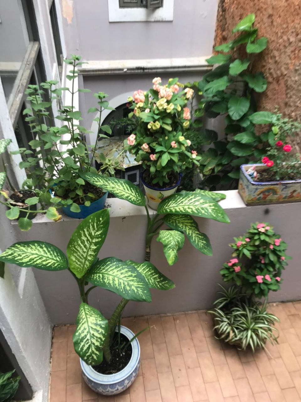 The Garden Apartment, The Willow Apartment, & The Tropical Apartment At Casa Of Essence In Old San Juan Luaran gambar